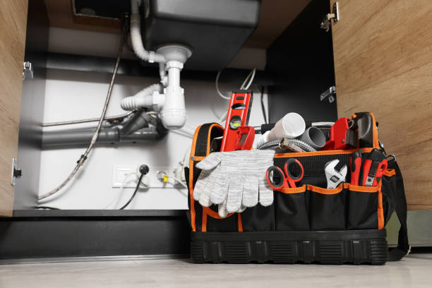 Best Plumbing Services Near Me  in Bee Ridge, FL